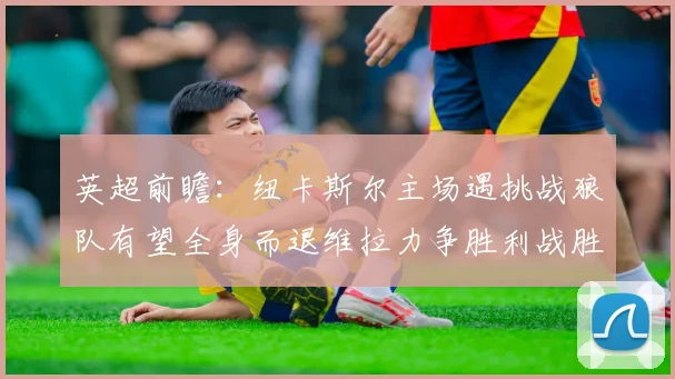英超前瞻：纽卡斯尔主场遇挑战狼队有望全身而退维拉力争胜利战胜埃弗顿