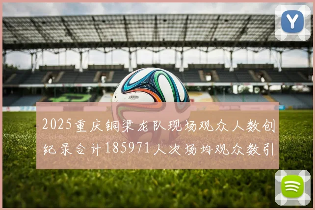 2025重庆铜梁龙队现场观众人数创纪录合计185971人次场均观众数引发热议