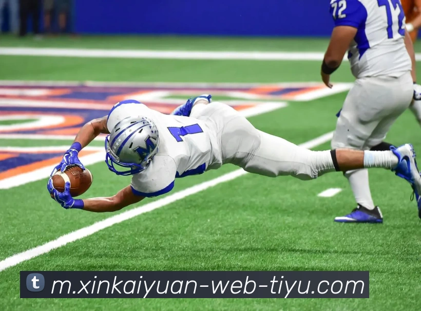 App Interface Preview