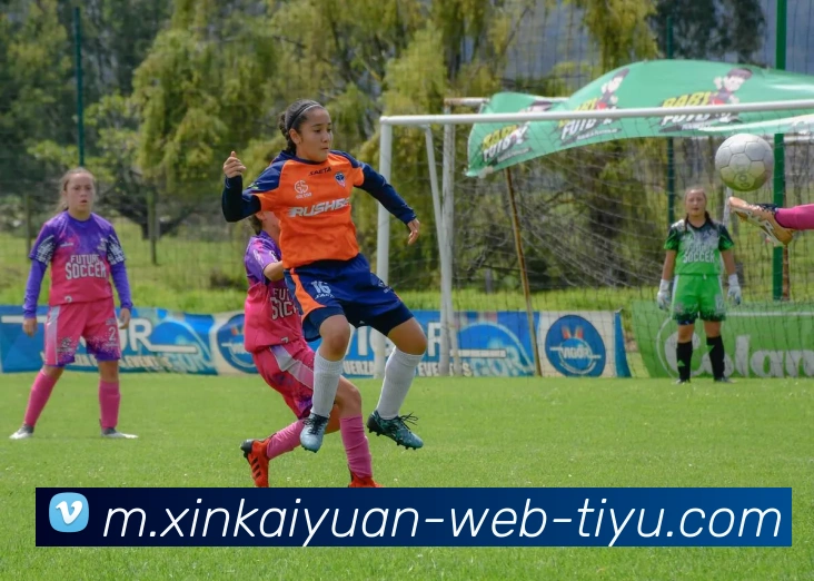 开元体育APP 封面图